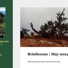Bristlecone Magazine Returns!